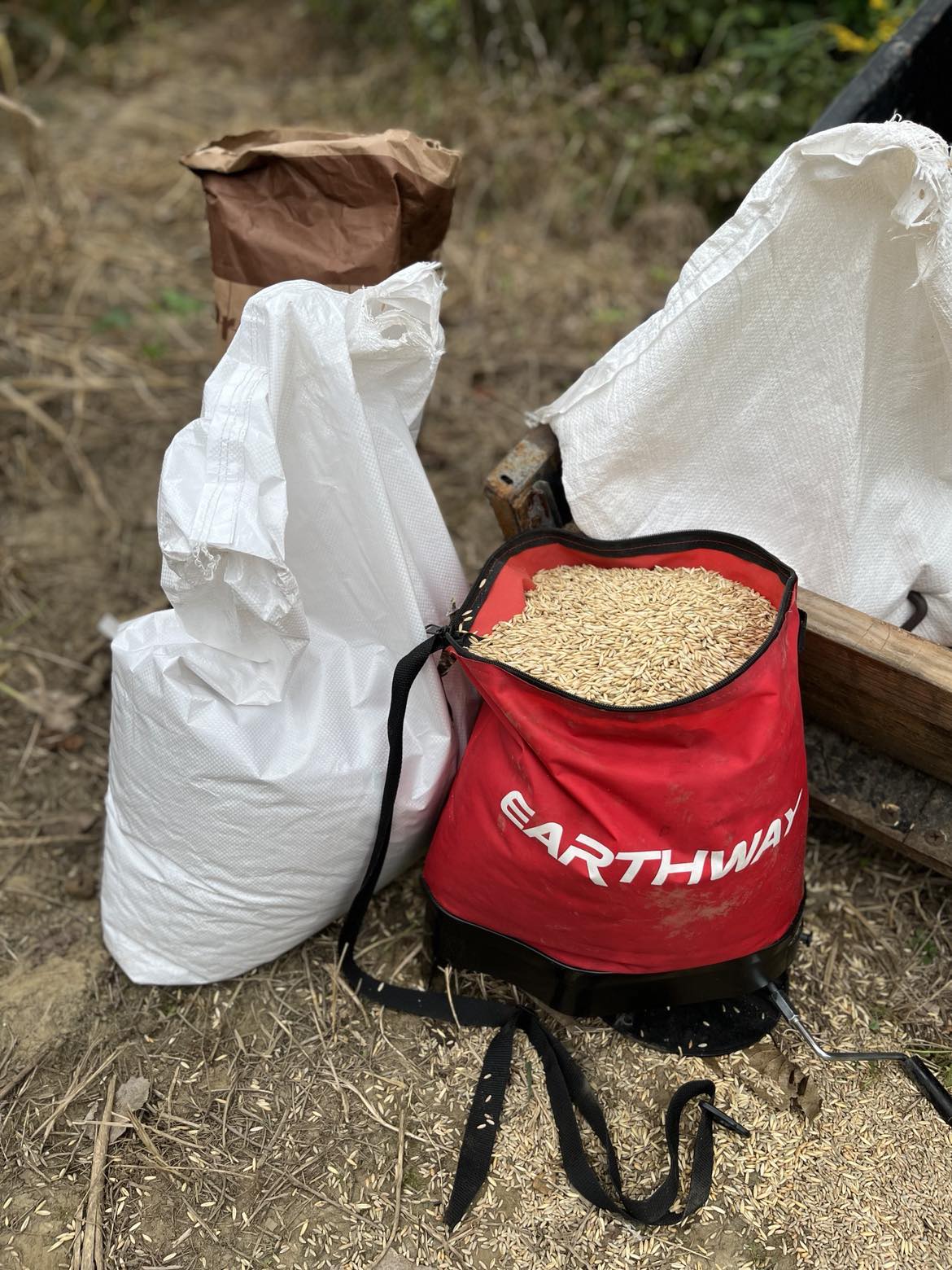 A red Earthway bag filled with wheat grain, placed next to a white sack, with a wooden structure in the background.