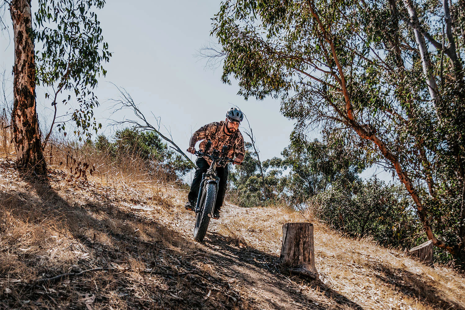 Cheetah Hunting Ebike