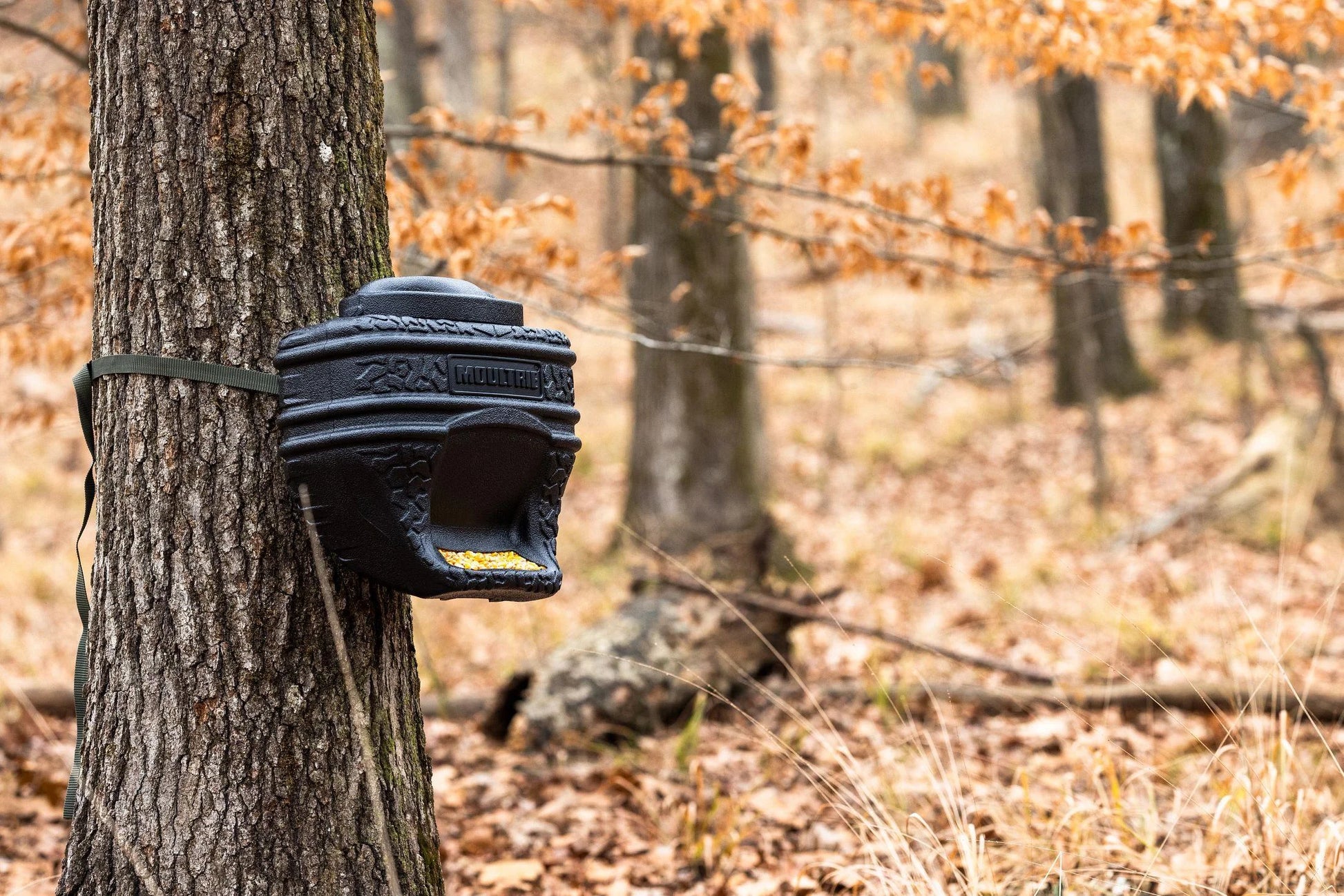 (3 Pack)  40Lb. Feed Bin. - Easy Fill Gravity Feeder - 6 Gallon Capacity