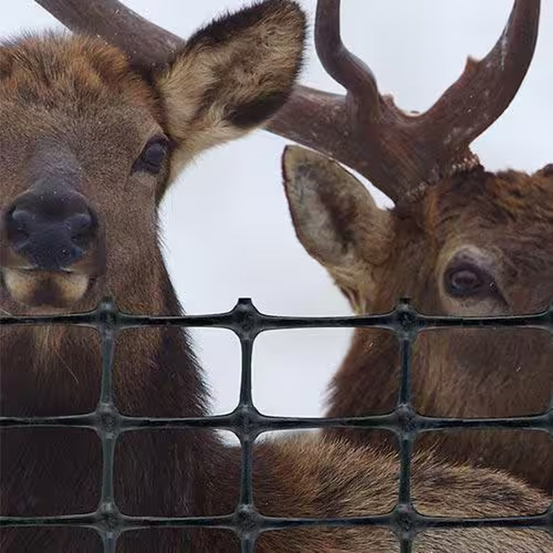6 Ft. X 330 Ft. C Flex Plastic Deer Fence
