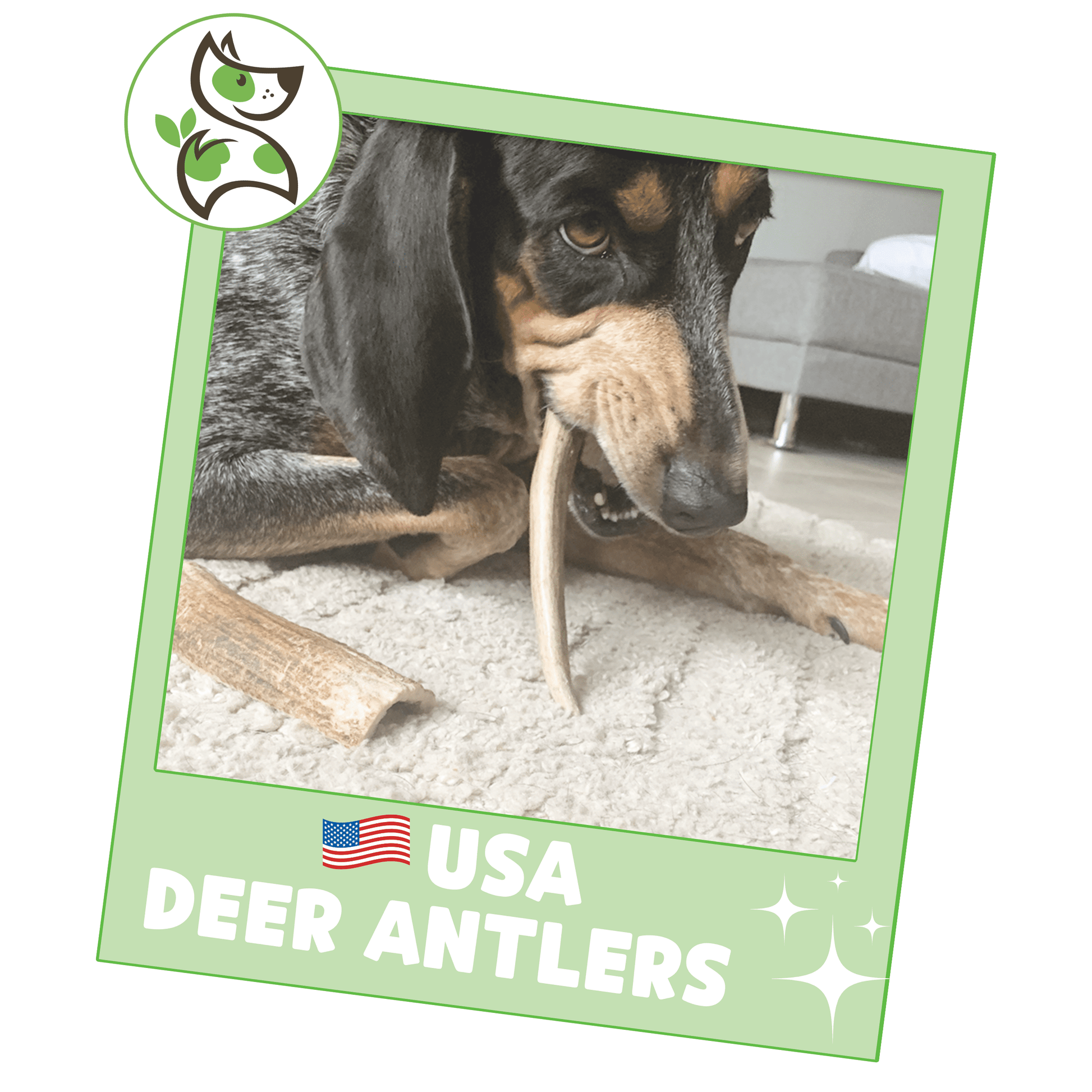USA Deer Antlers for Dogs 4-7" (3 Count) Rawhide-Free Chew Bones