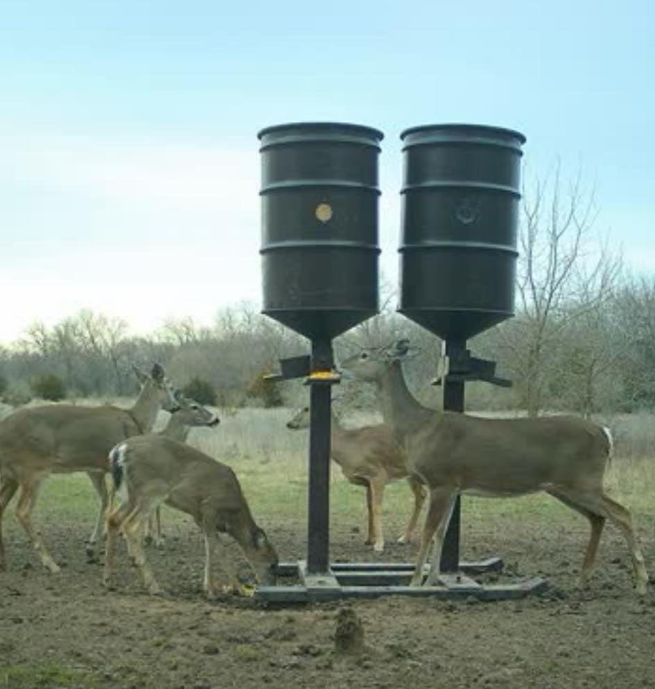 Forage Feeders Single AND Double Barrel Deer Feeders - Free Shipping  – Made in the USA