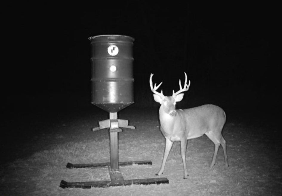 forage feeders single barrel
