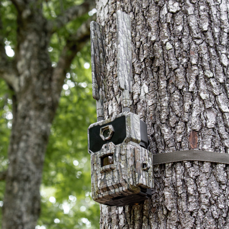 WiseEye DC-2 Cellular Trail Camera – Smart AI Scouting, HD Photos & Videos, HuntControl App