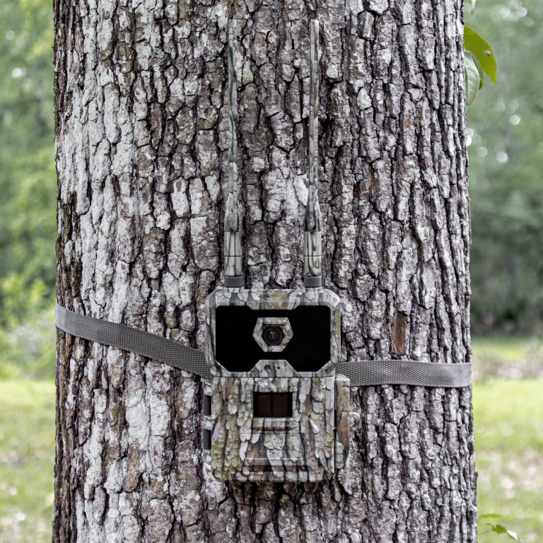 WiseEye DC-2 Cellular Trail Camera – Smart AI Scouting, HD Photos & Videos, HuntControl App